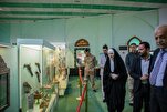 Ang Finnish na Embahador ay Nagbahagi ng Karanasan sa Pagsuot ng Hijab sa Dambana ng Imam Hussein