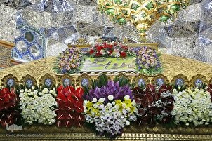د حضرت بی بی معصومه(س) د ضریح مبارک په ګلانو پوښل(انځورونه)