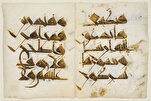 Raros Pergaminhos Corânicos Antigos na Biblioteca de Kairouan Remontam aos Séculos IX–XI