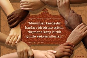 Müminlerin beraberliği ve kardeşliği