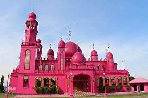 Filipinler'in Pembe Camisi