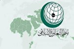 İslam İşbirliği Teşkilatı Kemal Advan hastanesine yapılan baskını kınadı
