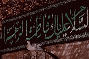 Peygamber Efendimiz’in can parçası | Hadis